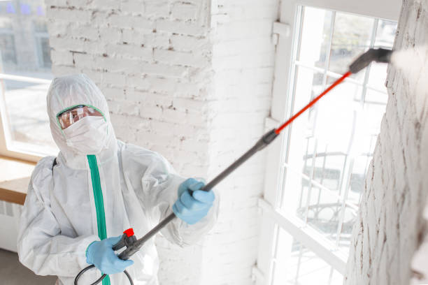 Mold Remediation for Vacation Homes in Hawley, PA