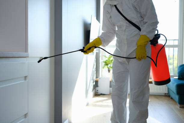 Best Mold Prevention Services  in Hawley, PA