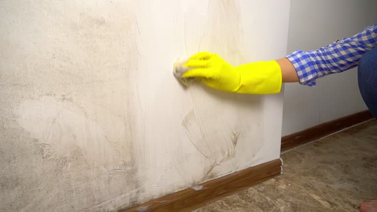 Best Mold Remediation for Vacation Homes  in Hawley, PA