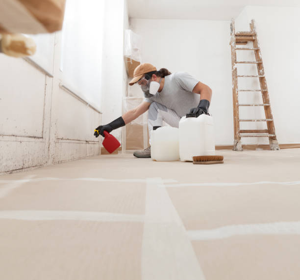 Best Dehumidification Services  in Hawley, PA